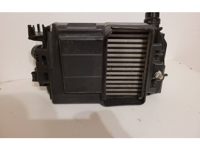 Интеркулер 144961019R, 14461F270A Renault Clio V