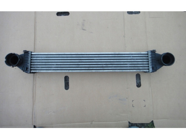 Интеркулер A1695000000 Mercedes-Benz A W169