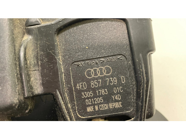 Средняя поясная пряжка ()