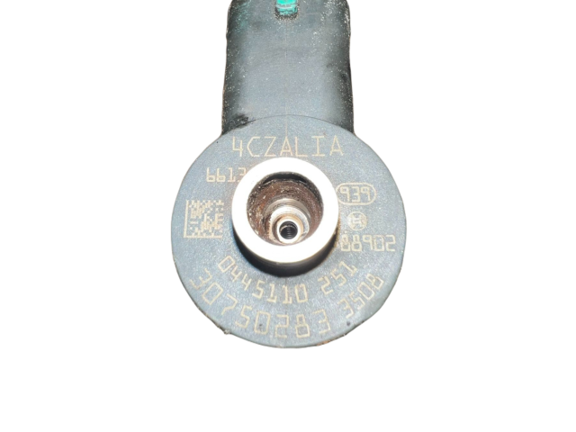 Форсунка 0445110251, 0445110251    Volvo XC90  D 5244 T4 