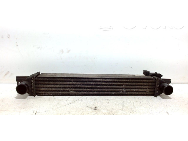 Интеркулер     Citroen Nemo 