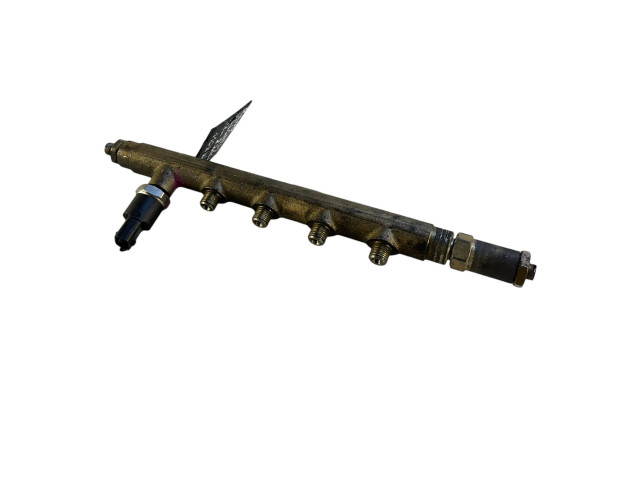 Vstřikovací lišta 8200023961, 005644 Renault Vel Satis