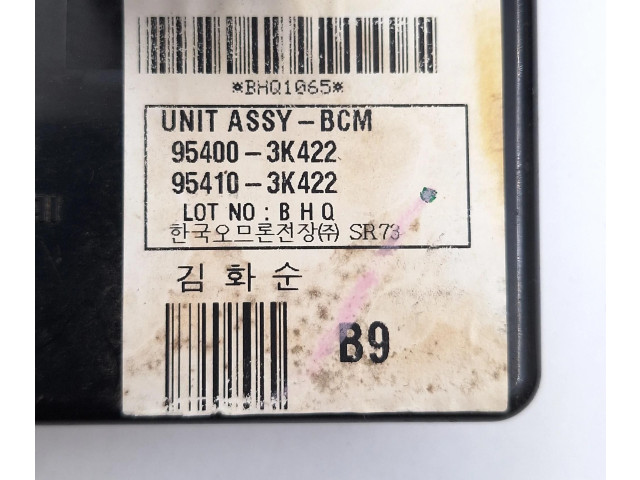 Комплект блоков управления 0281012973, 3911327405 Hyundai Sonata