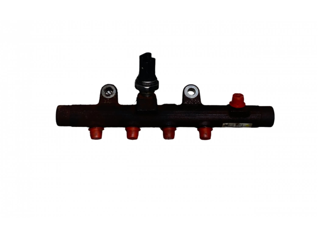 Vstřikovací lišta A2C5336783603, 5WS40936 Nissan Juke I F15 K9K 896, K9K 636