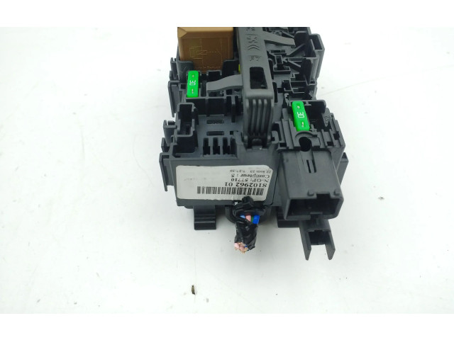 Pojistková skříňka 810296201 Peugeot 208 2023