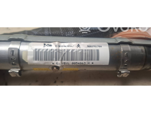 Боковая подушка безопасности CC102590XXXX, 9682751780   Citroen C5
