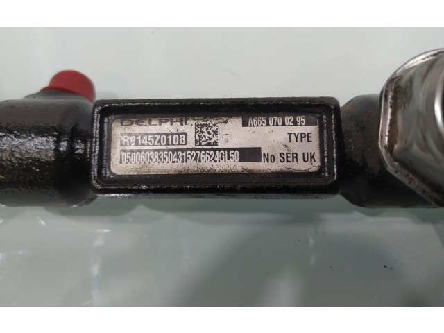 Топливная рампа A6650700295   SsangYong Rexton   для двигателя D27DT