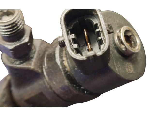 Vstřikovač 0445110239 Citroen Berlingo