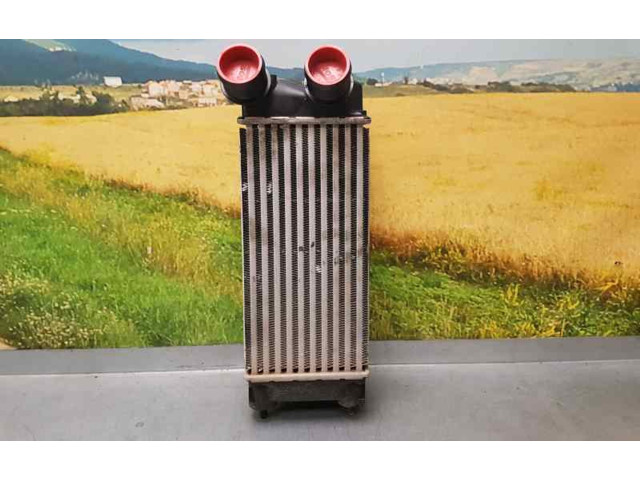 Интеркулер 9800291280, IA2077 Citroen Berlingo 1.6