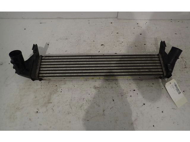 Интеркулер 8200409045 Dacia Sandero