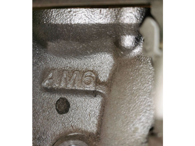 Vstřikovač 0403252, AM6 Nissan Murano Z50