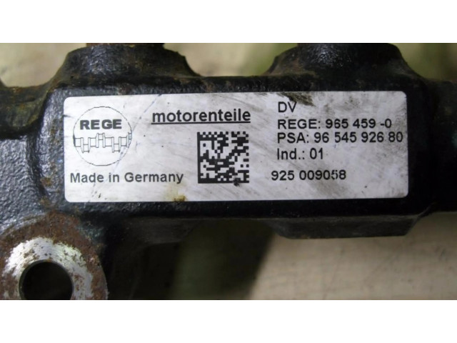 Vstřikovací lišta 9654590, VD3604 Citroen C3 Picasso