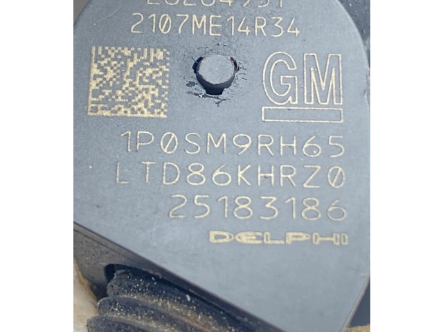 Форсунка 28264951, 25183186    Chevrolet Captiva   