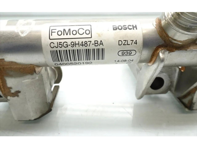 Комплект форсунок CJ5G-9D280-AA, 026155119    Ford Fiesta   