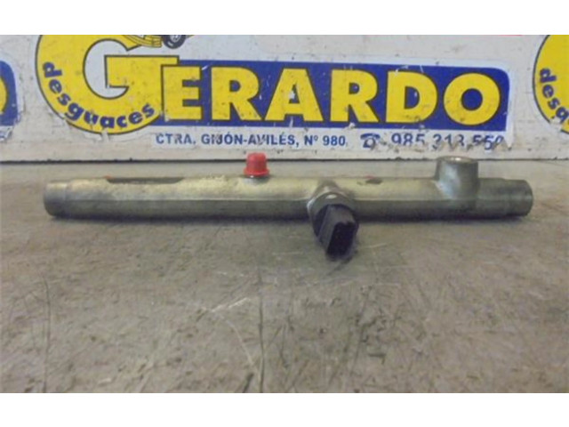 Vstřikovací lišta 9636520780 Peugeot 307