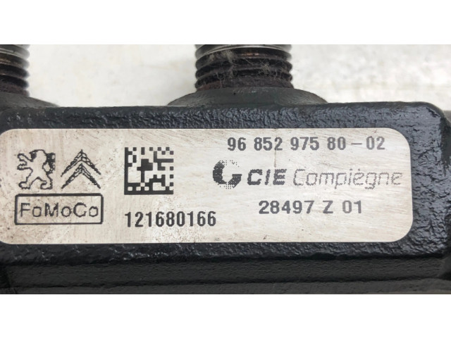 Vstřikovací lišta 9685297580 Citroen Berlingo pro naftový motor 1.6