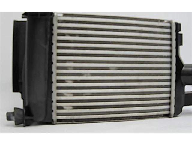 Интеркулер 144955051R Dacia Duster