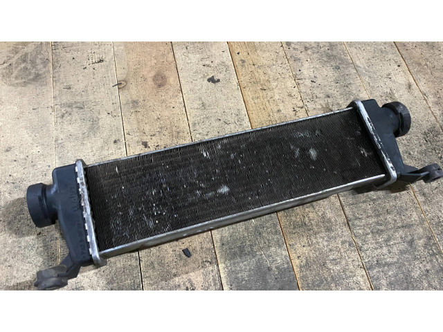 Интеркулер a1685000000, 1685000000 Mercedes-Benz A W169 2.0