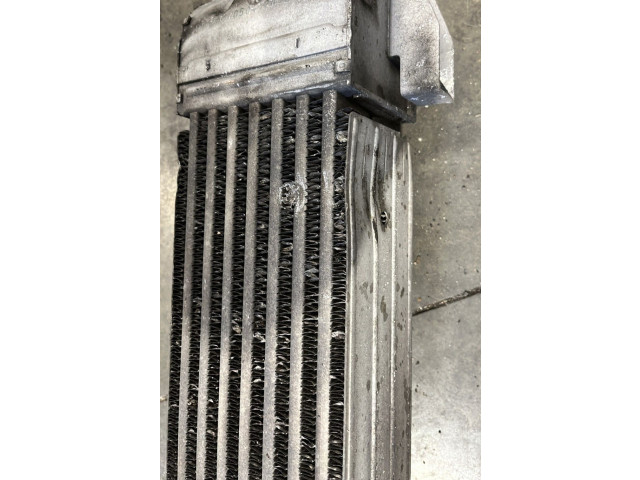 Интеркулер     Citroen DS4 