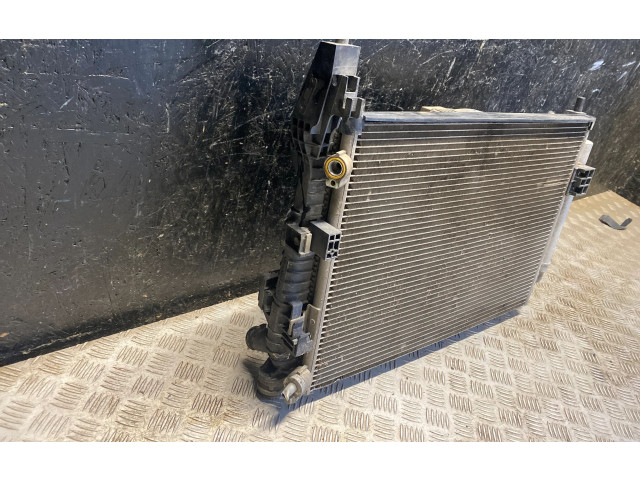 Жиклер (жиклеры) (форсунка (форсунки) BV618C342BC, 8V618C607EB   Ford Focus   