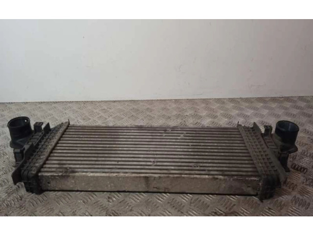 Интеркулер A1645001900 Mercedes-Benz R W251