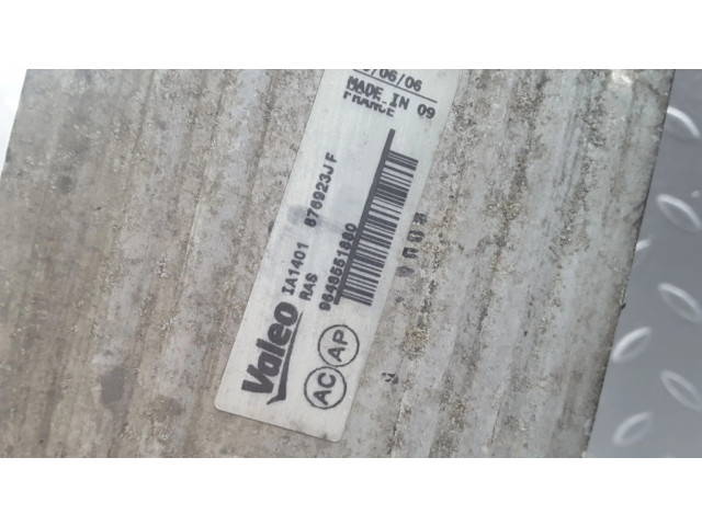 Интеркулер  9648551880, 876923JF   Citroen DS4 1.6