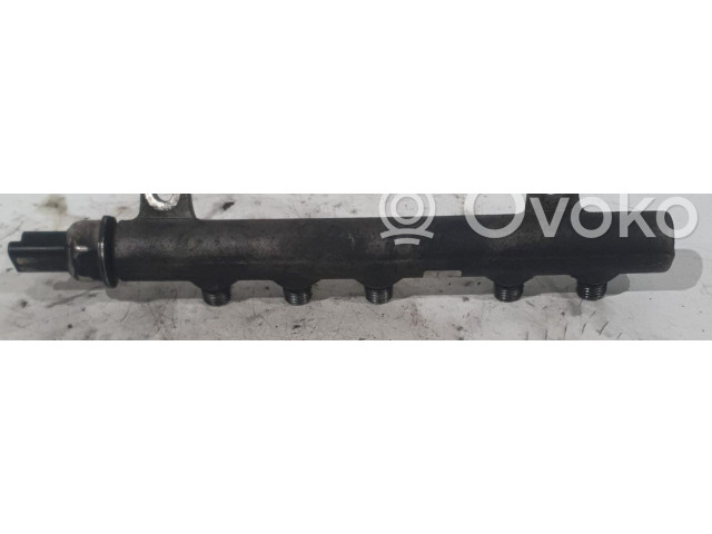 Топливная рампа A6710700195, A6710700195 SsangYong Korando