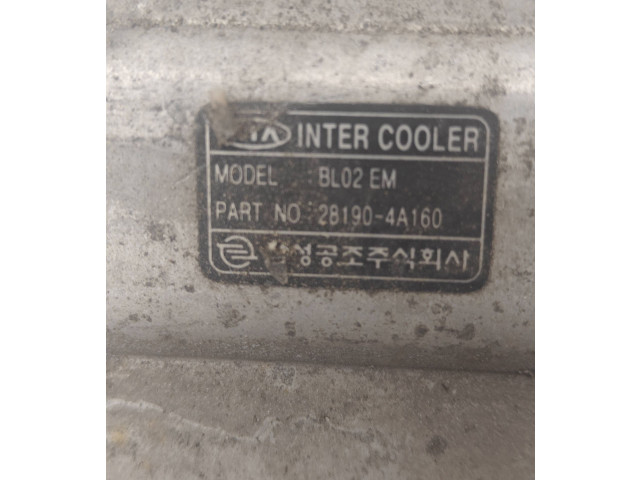 Интеркулер  BL02EM, 281904A160   KIA Sorento 