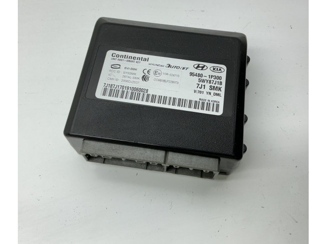 Блок управления 954801P300, 5WY87J1B   KIA Venga