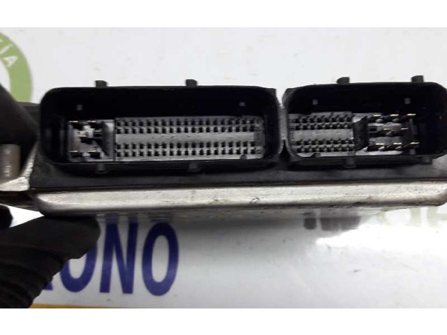 Блок управления двигателя 038906019NL, 0281012276   Seat Ibiza III (6L)