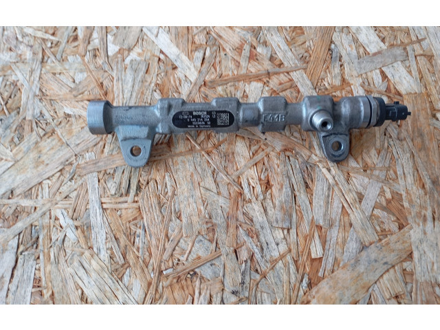 Топливная рампа 0445214254, 55234039   Fiat Freemont  