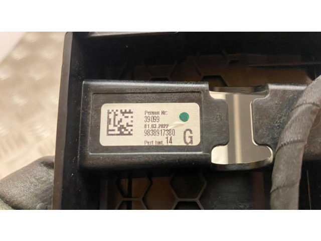 Дисплей    9838917380   Peugeot 3008 II