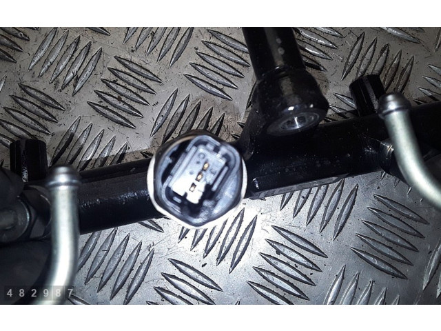 Топливная рампа 968190968001 Citroen C5