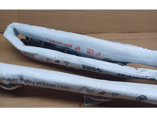 Боковая подушка безопасности 6V0880742E   Skoda Fabia Mk3 (NJ)