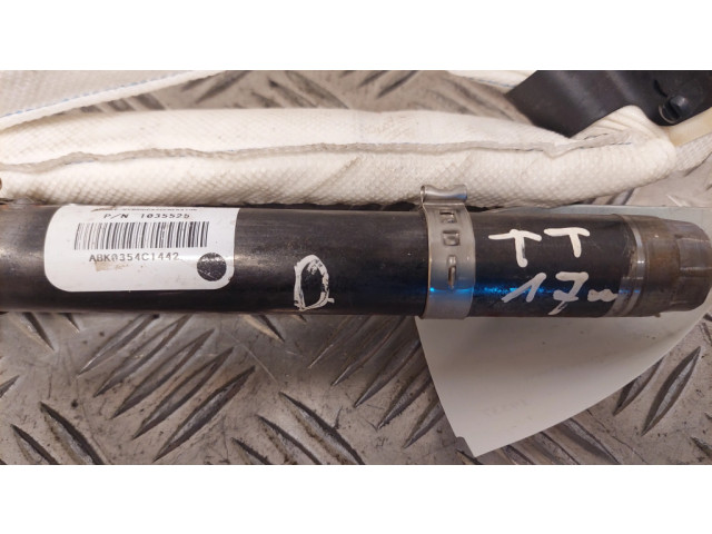 Боковая подушка безопасности Audi TT TTS RS Mk3 8S