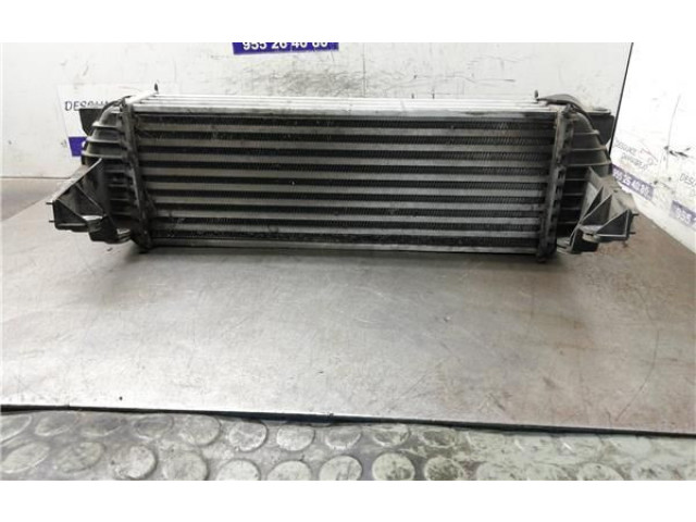 Интеркулер     Ford Transit -  Tourneo Connect 