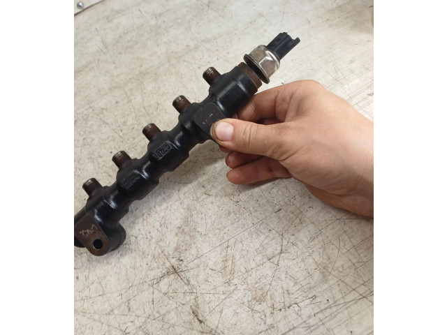 Топливная рампа 9654592680, 9654590   Peugeot Expert  