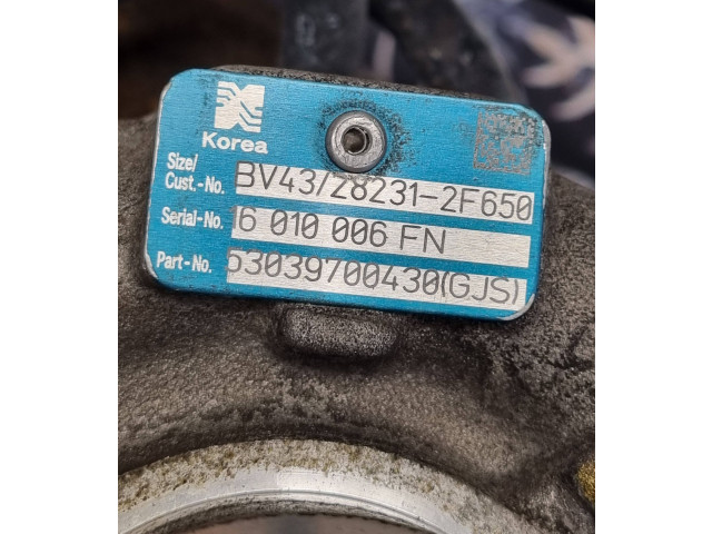 Turbodmychadlo Турбина 53039700430gjs Hyundai Santa Fe