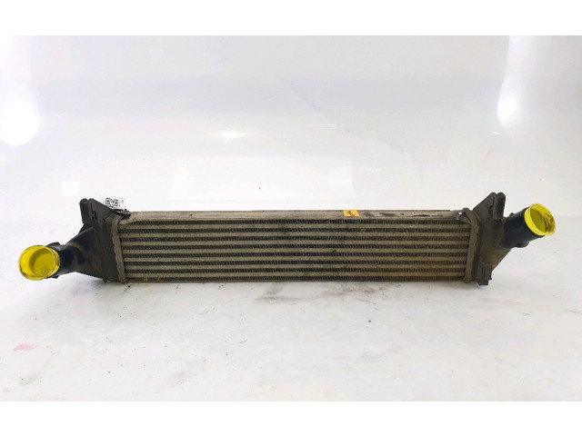 Интеркулер 8200409045, B1-2799E Dacia Duster