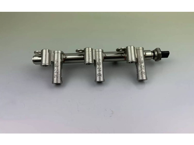 Топливная рампа 9811353880   Peugeot 2008 II  