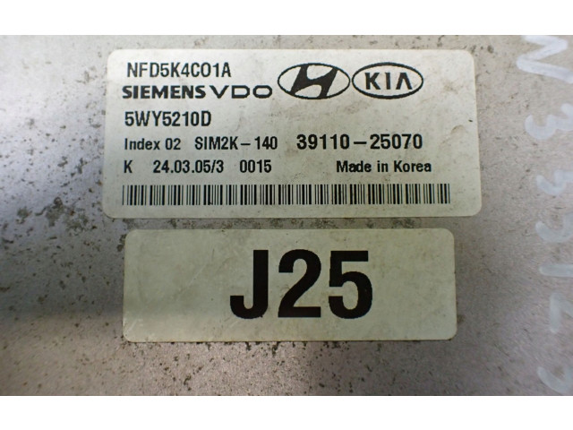Блок управления двигателем Блок управления 39110-25070 5WY5210D NFD5K4C01A Hyundai Sonata