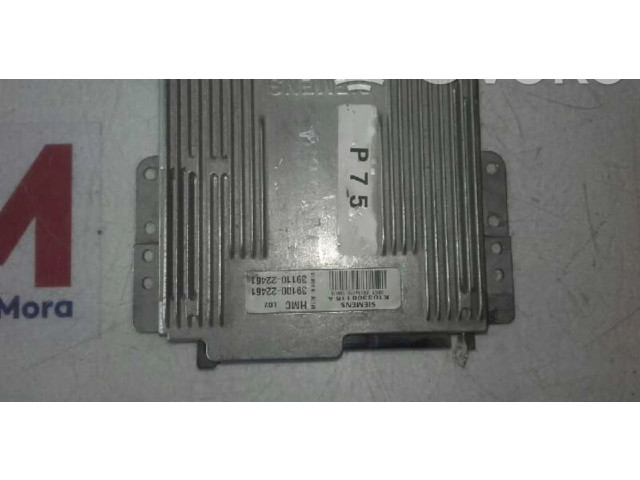 Řídící jednotka 3910022461 Hyundai Accent