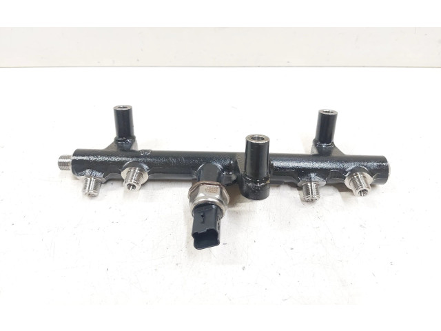 Топливная рампа 9681909680, 28497Z01   Citroen C5  