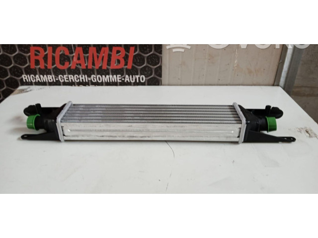 Интеркулер  55700449, 55700449   Fiat Punto Evo 