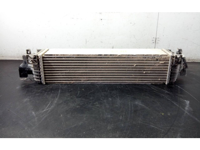 Интеркулер P2-B10-9 BMW 1 F40