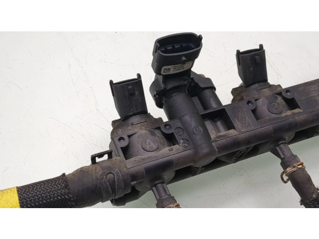 Комплект форсунок 175237399R Dacia Logan III для бензинового / Газ двигателя 8201733030 1