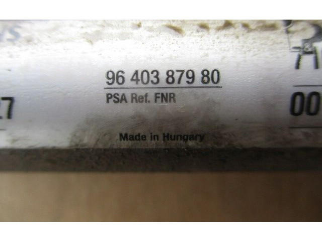 Vstřikovací lišta 9640387980, 9640387980 Citroen Berlingo