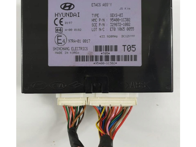 Блок управления 954001C302   Hyundai Getz