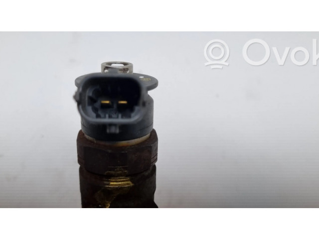 Форсунка 0445110252 Citroen C3 для дизельного двигателя