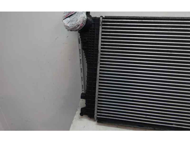 Интеркулер Skoda Octavia Mk2 (1Z)